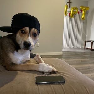 Meet your Posher, Maleah